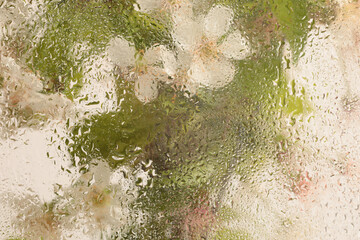 Soft focus green, beige pink leaf and  flower bouquet through glass with wet water drops. Abstract natural blur background.