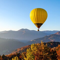 hot air balloon