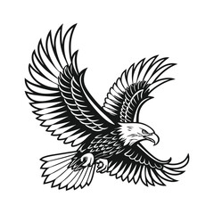 eagle vector illustration line art silhouette