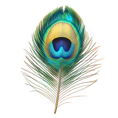 Obraz premium A photorealistic peacock eye feather in bold green, turquoise, and gold tones, isolated cleanly.