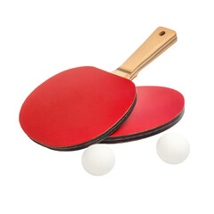 Dynamic table tennis gear, inviting play for both recreational and professional players