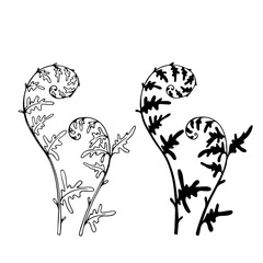 Line sketch, stamp, silhouette of forest grass fern. Decorative botanical elements. Vector graphics.
