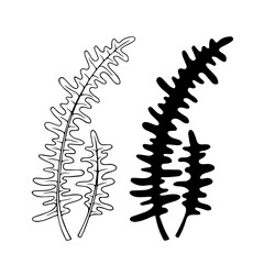 Line sketch, stamp, silhouette of forest grass fern. Decorative botanical elements. Vector graphics.
