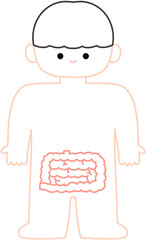 우리 몸 장기 퍼즐 일러스트