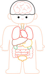 우리 몸 장기 퍼즐 일러스트