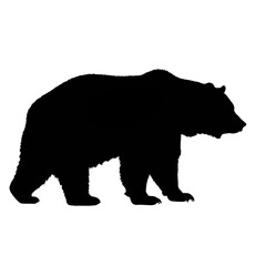 silhouette of a bear