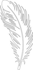 Obraz premium Feather shaped with delicate, thin lines and abstract patterns to form a minimalist design.