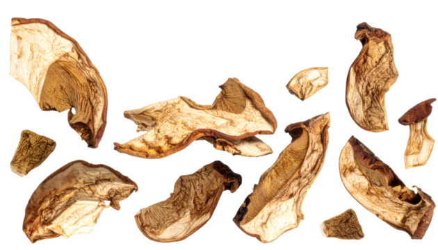 Dried Porcini Mushrooms Falling on Transparent Background
