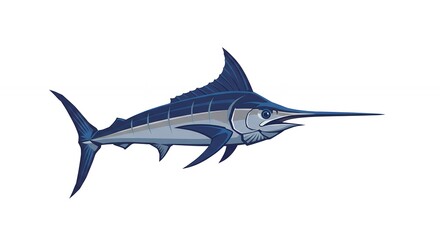 Blue marlin illustration