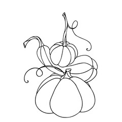 Line sketch, contour, coloring of autumn vegetable pumpkin.Vector graphics.