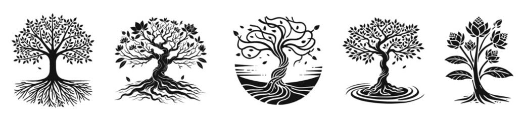 tree silhouettes collection. Set of tropical trees, vector illustrations