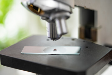 Microscope is focusing on a sample placed on a glass slide, conducting scientific research in a...