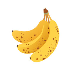 Bananas: The Delicious and Nutritious Fruit