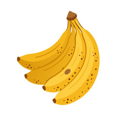 Bananas: The Delicious and Nutritious Fruit