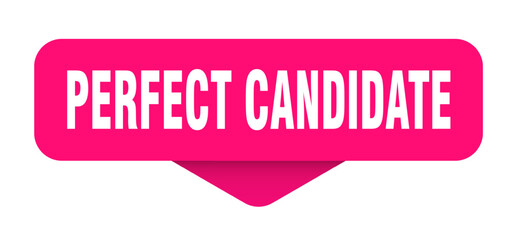 perfect candidate sticker. perfect candidate sign on transparent background