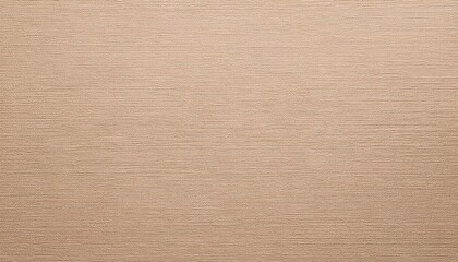 Fototapeta premium beige paper texture background