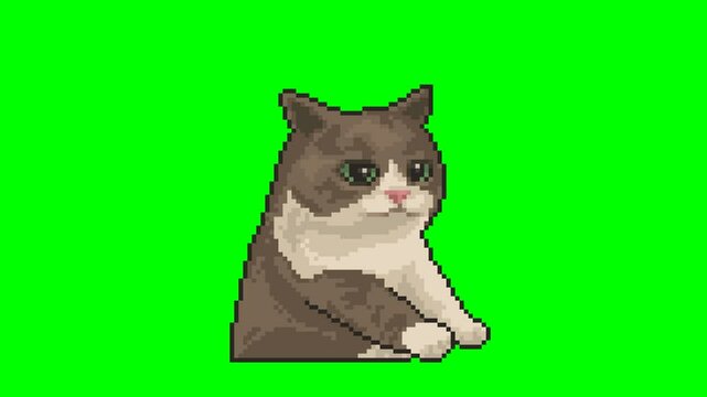 Growling cat, pixel art meme animation