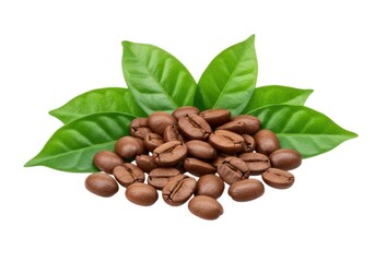Obraz premium Fresh roasted coffee beans with leaves for gourmet beverage image