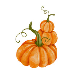 Colorful autumn ripe pumpkin.Vector graphics.
