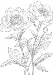 set of flowers