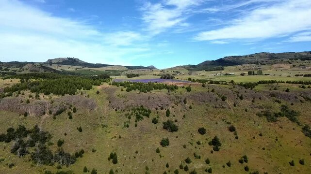 Vista de una extensa planicie patag&oacute;nica donde florecen coloridos lupinos a lo lejos, rodeados de naturaleza y monta&ntilde;as bajo el cielo austral.