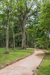 The Rio de Janeiro Botanical Garden, with diversity of Brazilian flora of 6500 species  distributed throughout an area of 54 hectares. The park was designated as a biosphere reserve by UNESCO. 2017