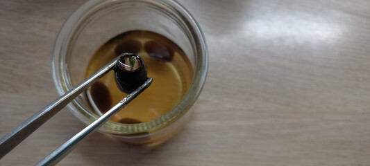 Close-up of a sprouting lotus nut seed held with tweezers over a glass of water. Germination process in progress, showcasing early plant development and seed viability.