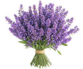 Fototapeta premium Lavender bouquet arrangement flower shop floral bright environment isolated on transparent background
