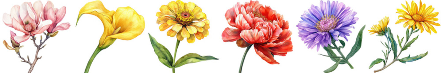 A Vibrant Collection of Hand-Drawn Floral Illustrations Featuring Varied Flower Types and Colors
