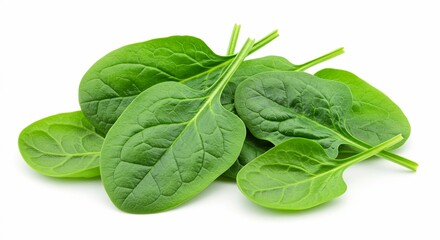 Fototapeta premium Fresh, Vibrant Spinach Leaves: A Close-Up of Nature's Superfood, Ready for Culinary Delights and Healthy Eating