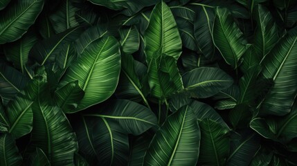 tropic leaves background