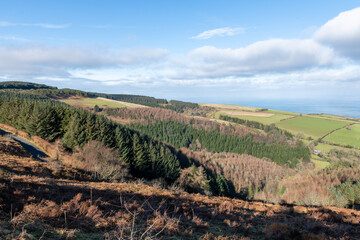 Naklejka premium Porlock Common at the top of Porlock hill in Exmoor National Park