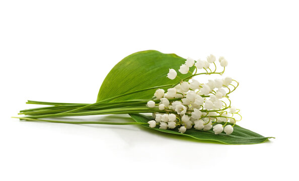 A bouquet of white lilies of the valley.