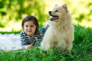 Beautiful girl with a Pomeranian dog
