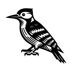 Obraz premium A detailed monochrome illustration of a woodpecker perched. The bird is depicted with intricate details, showcasing its unique features