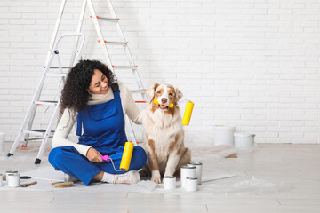 Happy female African-American painter in uniform with rollers and cute Australian Shepherd dog...