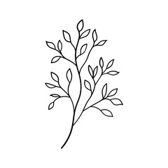 Minimal Leaf Line Drawing. Elegant black and white illustration of a single leaf stem drawn in a clean minimalist style.