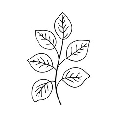 Minimal Leaf Line Drawing. Elegant black and white illustration of a single leaf stem drawn in a clean minimalist style.