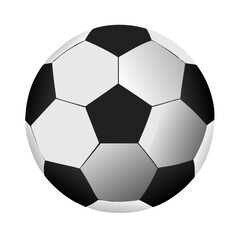 Soccer: The World's Most Popular Sport