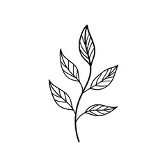 Leafy Stem. Stylized leafy stem in elegant monochrome line art, perfect for clean, modern compositions, packaging, or stationery design.