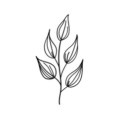 Leafy Stem. Stylized leafy stem in elegant monochrome line art, perfect for clean, modern compositions, packaging, or stationery design.