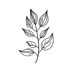 Leafy Stem. Stylized leafy stem in elegant monochrome line art, perfect for clean, modern compositions, packaging, or stationery design.