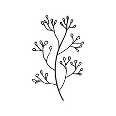 Minimal Flower Line Art. Simple floral illustration in black and white, featuring delicate buds or blossoms.