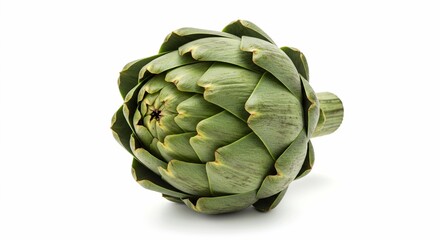 Fresh Green Artichoke Close-Up: Vibrant, Detailed Image of a Single Artichoke Isolated on White Background, Perfect for Culinary, Health, and Lifestyle Projects.