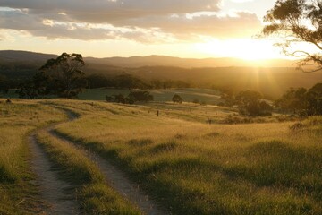 Obraz premium Scenic path through golden field at sunset for travel, nature, and landscape photography projects.