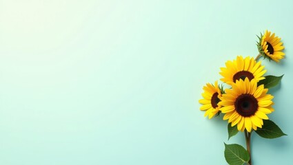 Bright Yellow Sunflowers with Green Leaves on a Light Blue Background with Ample Copy Space - Summer Flowers, Cheerful Design, Floral Background.