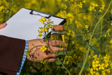 Analyzing canola oil production in field, checking quality with filled jar and blank clipboard for...