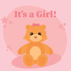 baby shower card, family celebrations, gender party, gender reveal, baby boy or girl, team pink blue, expecting, baby surprice, pregnancy celebrations,, vector illusttration of a gender reveal party, 