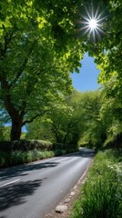 Fototapeta premium Sunlit Country Road Through Green Canopy Rural Landscape Scenic Route Lush Foliage Sunlight Burst Bright Sunny Day Journey Ahead Peaceful Scenery