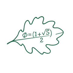 Vector icon of an oak leaf with the Golden Ratio formula, Phi equals one plus square root of five over two. Symbolizes mathematical beauty, divine proportion, and its presence in nature and art